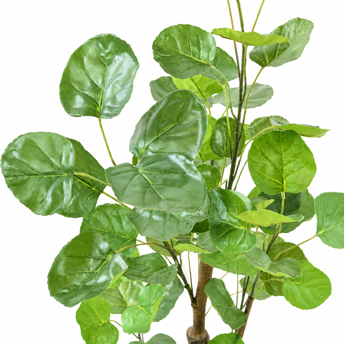 Aralia Fabian Artificiel 90 cm | Belle Verdure