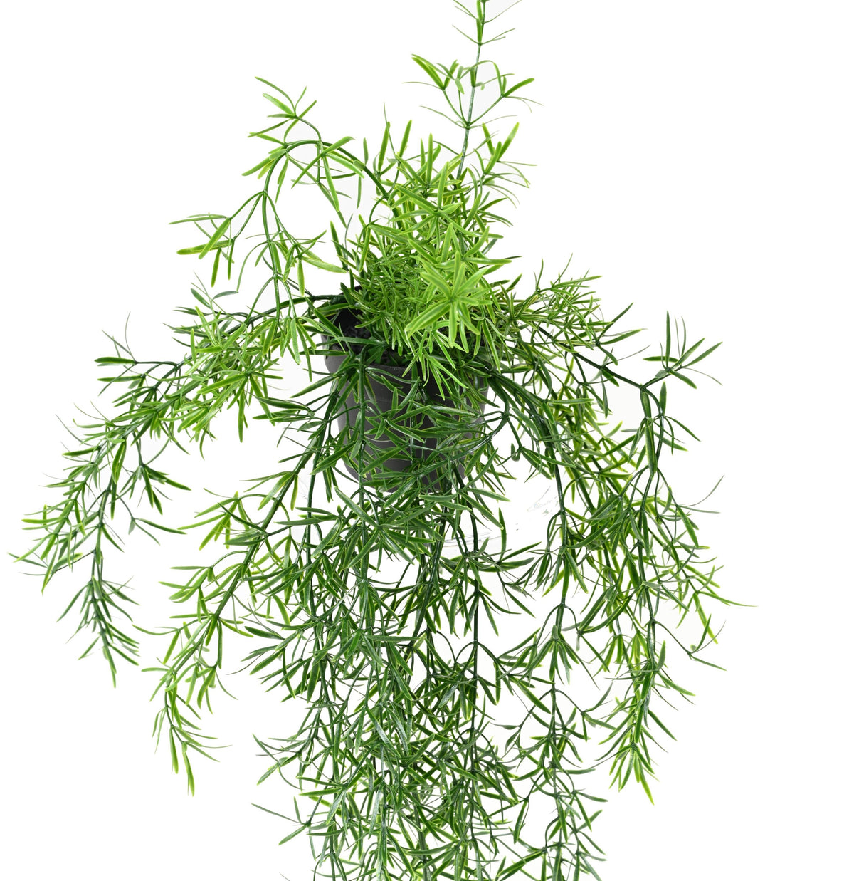 Plante Artificiel Asparagus tombante 55 cm | Belle Verdure