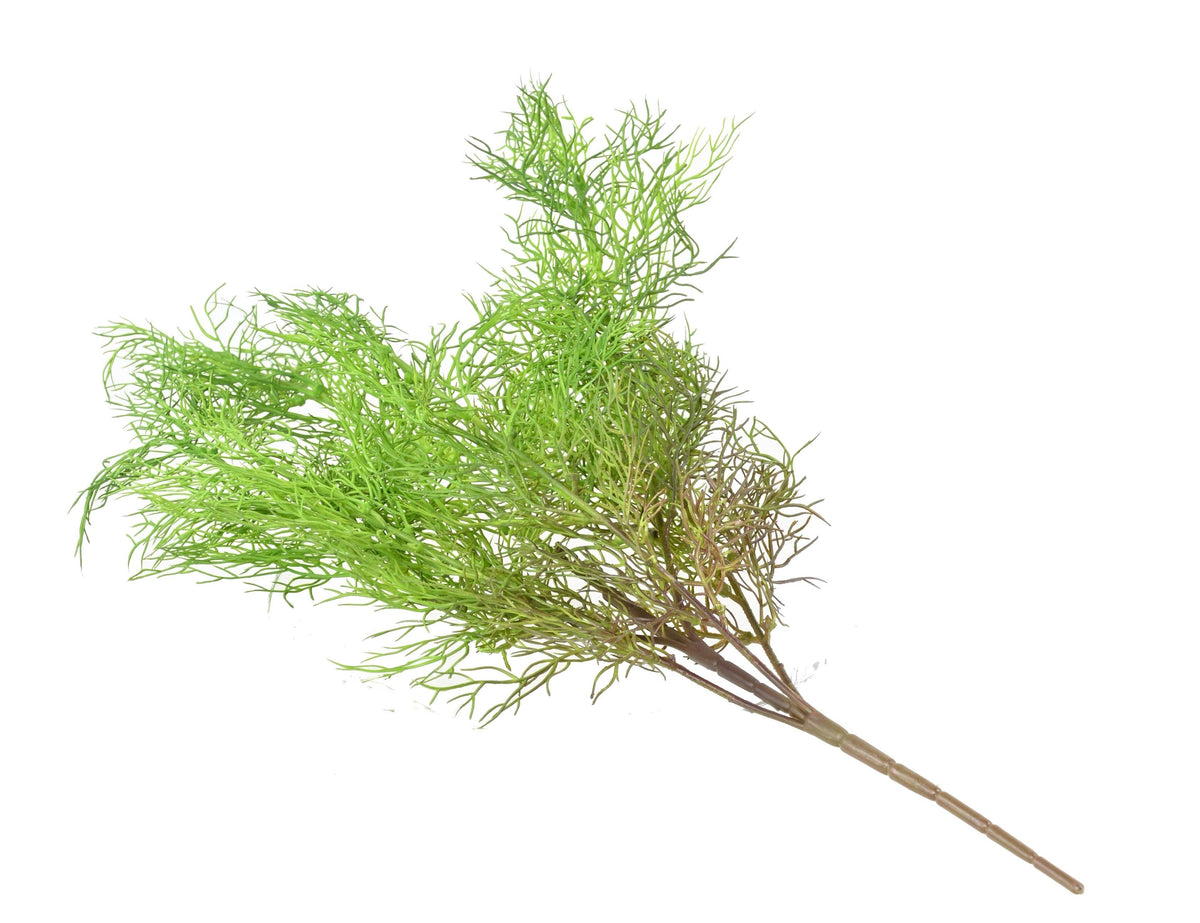 Plante Artificielle Asparagus sans pot 62cm | Belle Verdure