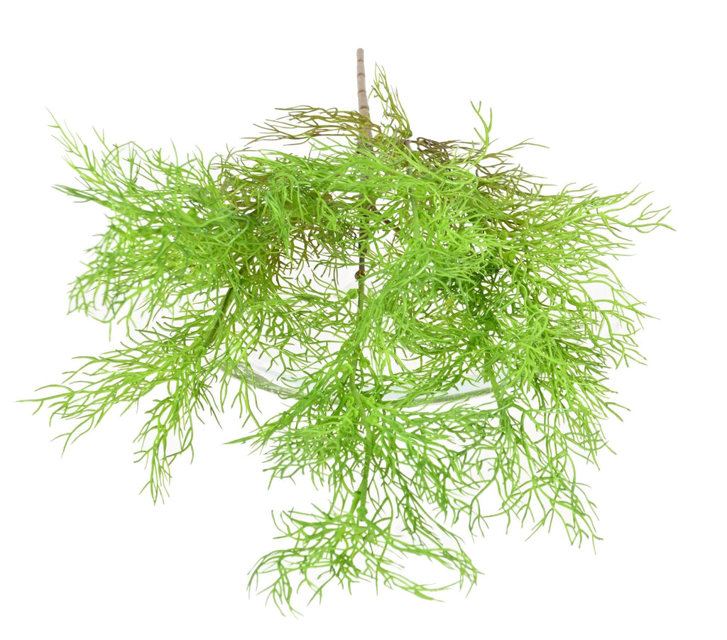 Plante Artificielle Asparagus sans pot 62cm | Belle Verdure