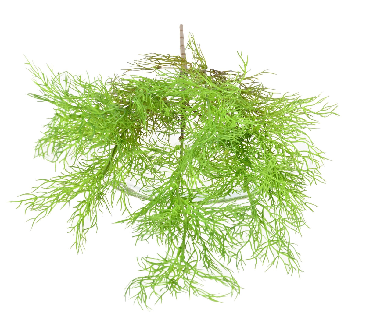 Plante Artificielle Asparagus sans pot 62cm | Belle Verdure