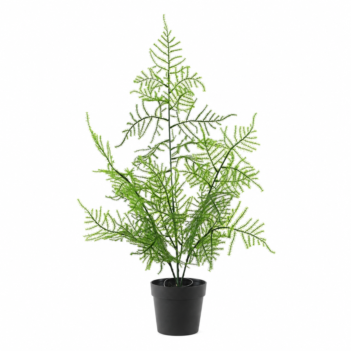 Plante Artificielle Asparagus 50 cm Anti-UV | Belle Verdure