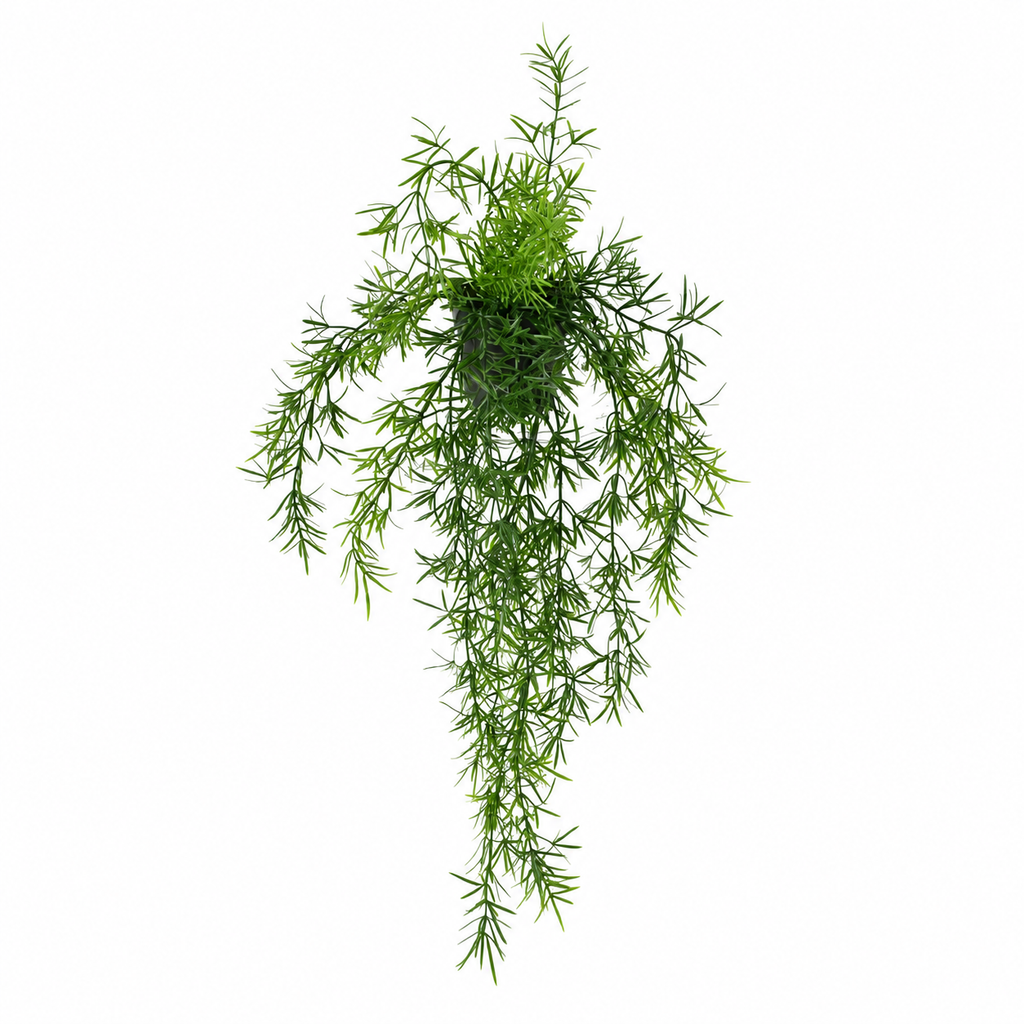 Plante Artificiel Asparagus tombante 55 cm | Belle Verdure