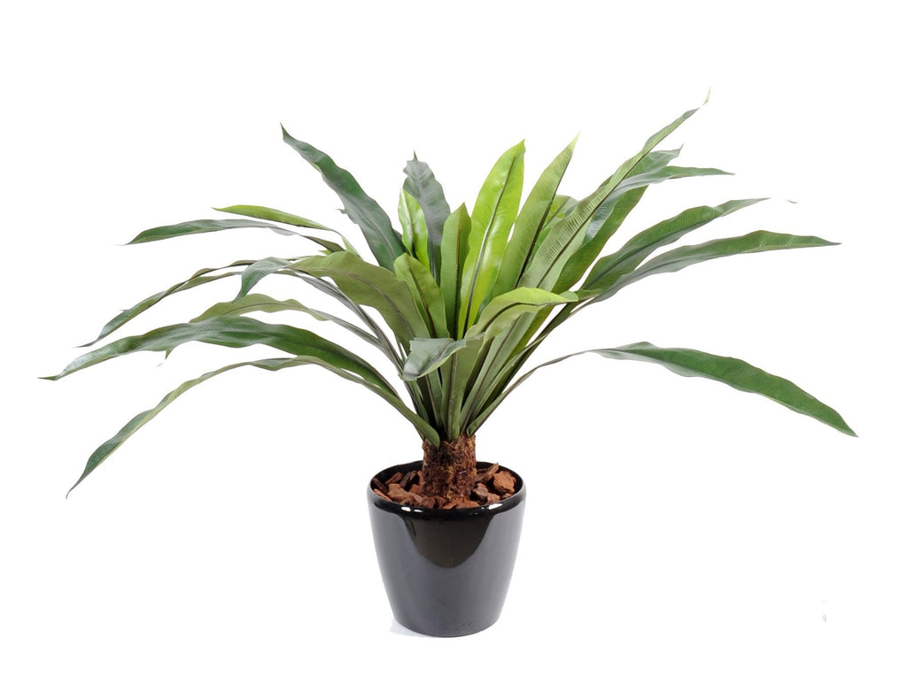 Plante Artificiel Asplenium 60 cm | Belle Verdure