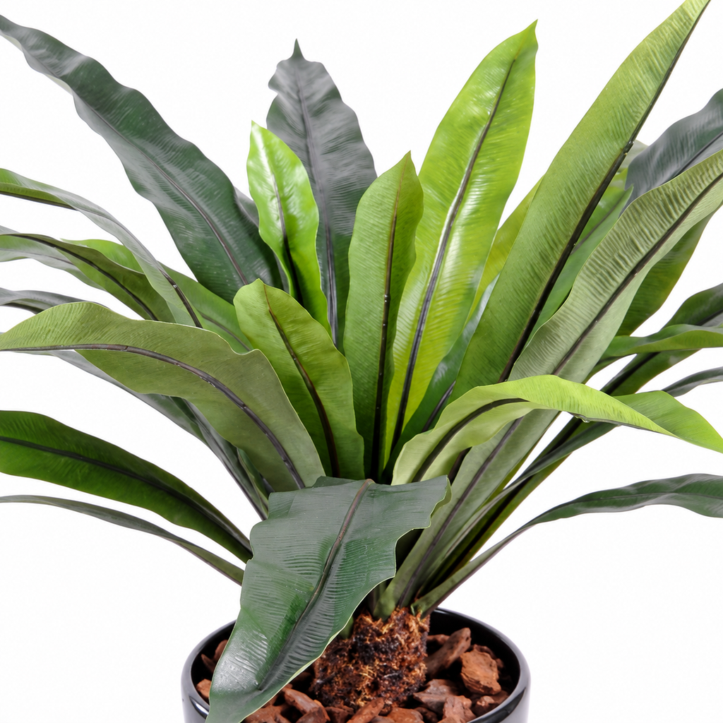 Plante Artificiel Asplenium 60 cm | Belle Verdure