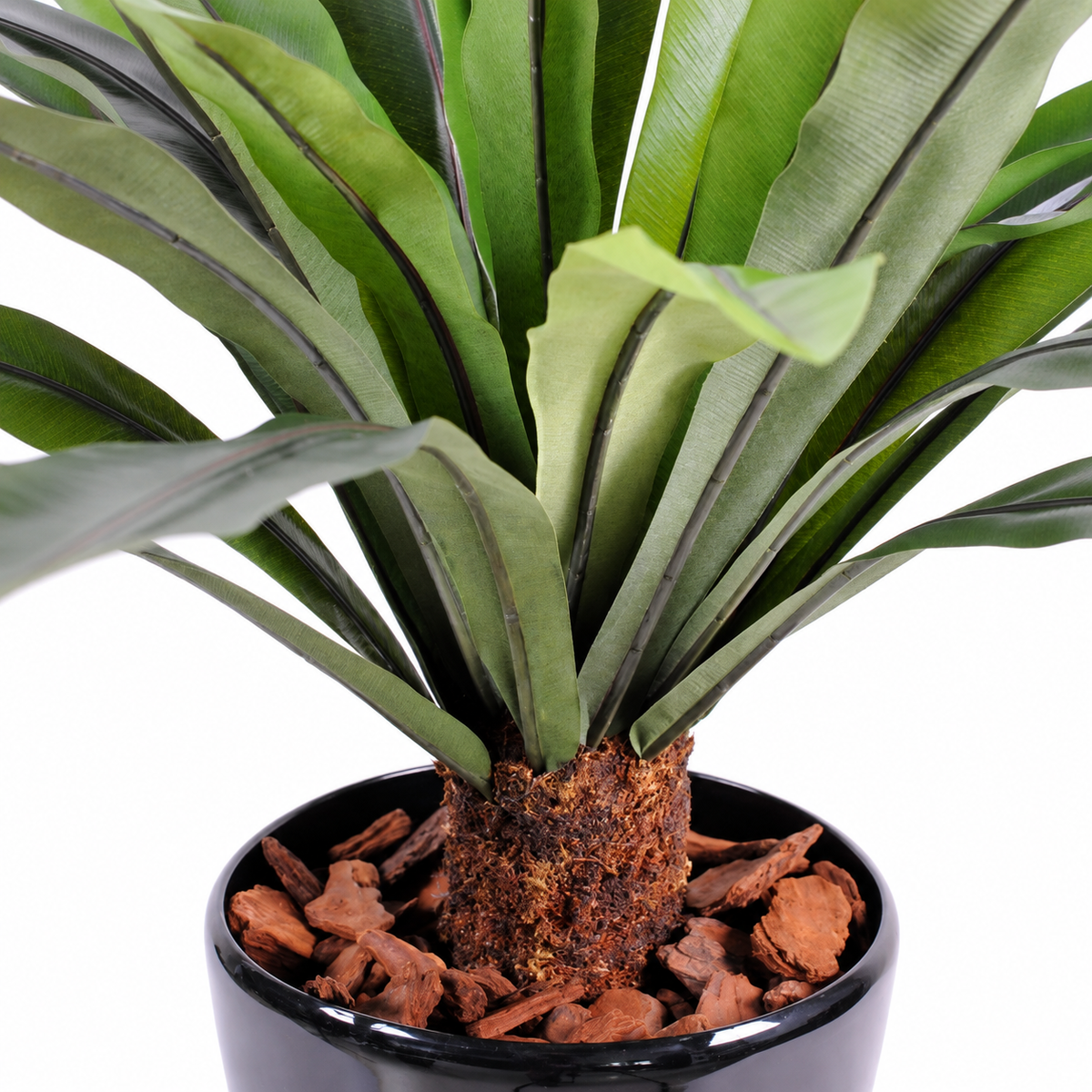 Plante Artificiel Asplenium 60 cm | Belle Verdure