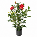 Rosier Artificiel Royal Rouge 60 cm | Belle Verdure