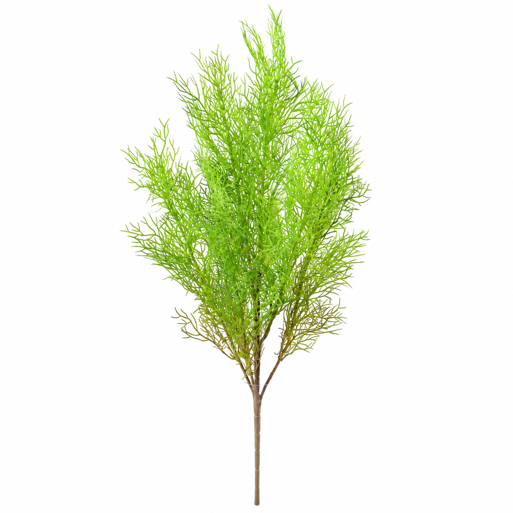 Plante Artificielle Asparagus sans pot 62cm | Belle Verdure