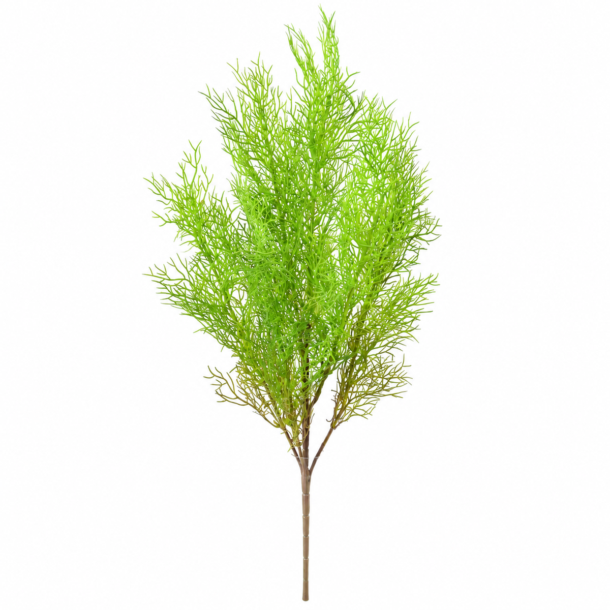 Plante Artificielle Asparagus sans pot 62cm | Belle Verdure