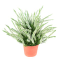 Plante Artificielle Bruyère 35 cm | Belle Verdure