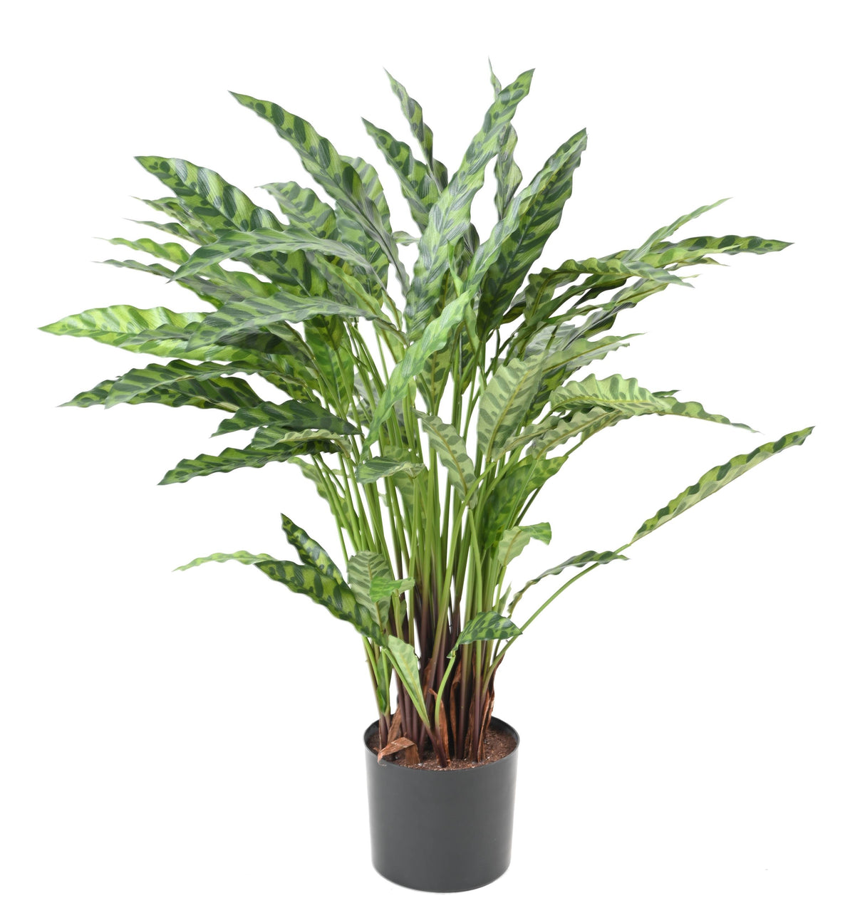 Plante Artificielle Calathea 90 cm | Belle Verdure