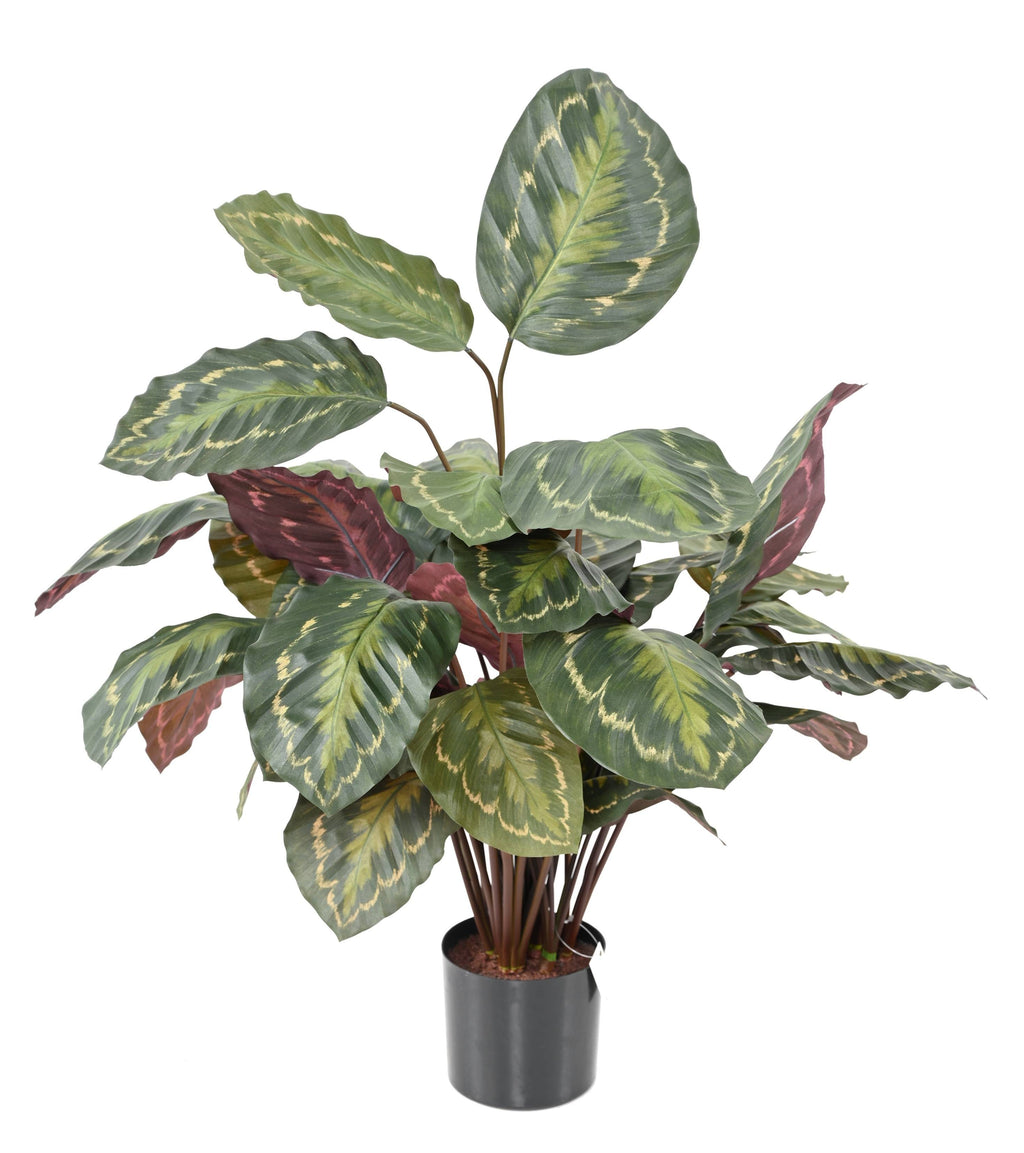 Plante Artificielle Calathea Roseopicta 70 cm | Belle Verdure