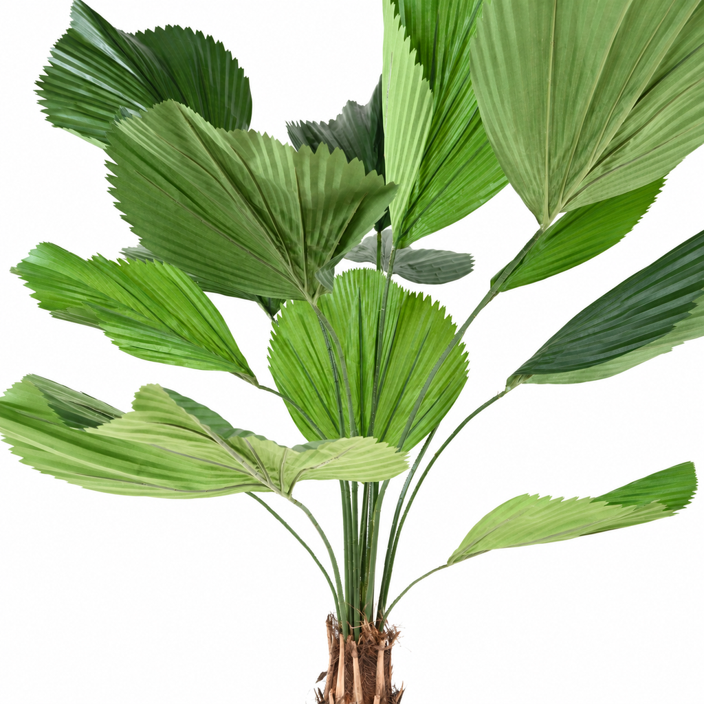 Licuala Grandis Artificiel 205 cm | Belle Verdure