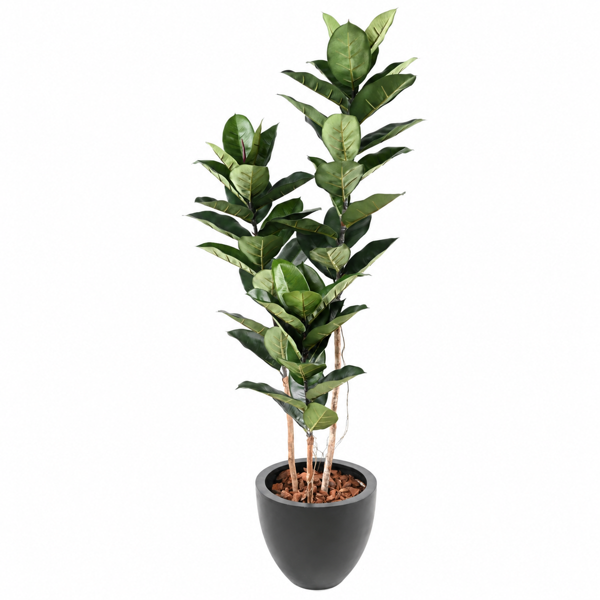 Ficus Artificiel Majesté 170 cm | Belle Verdure