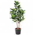 Ficus Artificiel Audrey 150 cm | Belle Verdure