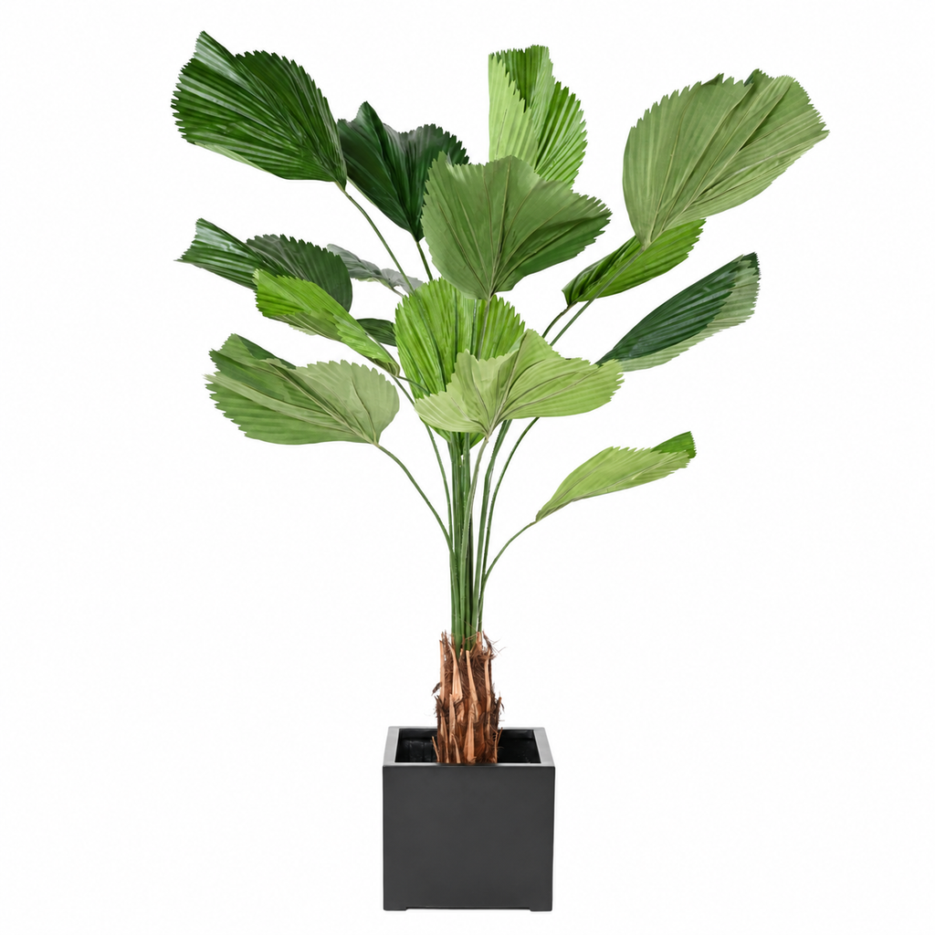 Licuala Grandis Artificiel 205 cm | Belle Verdure