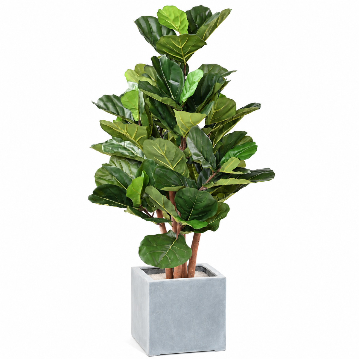 Ficus Artificiel Lyrata 150 cm | Belle Verdure