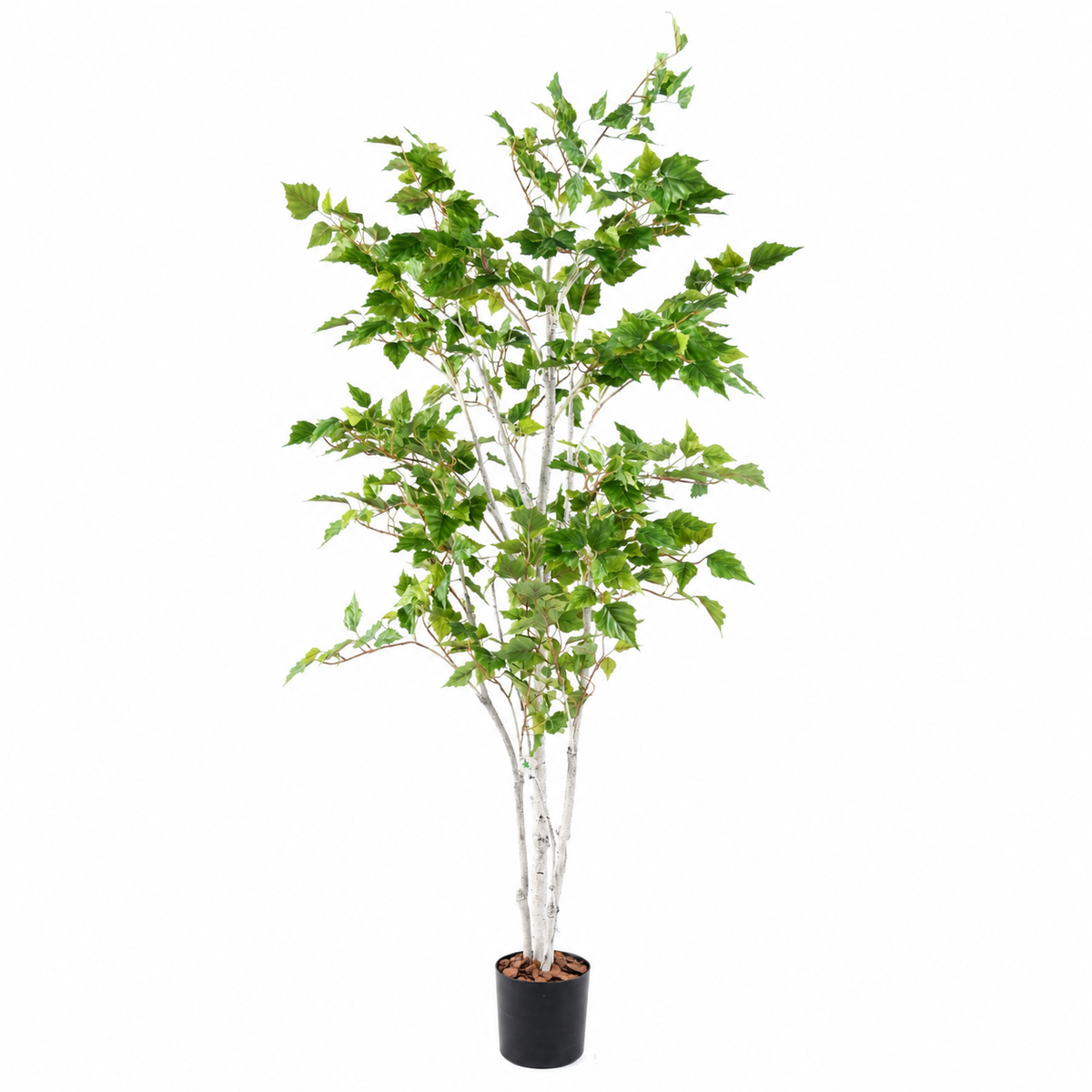 Bouleau Artificiel Classique 180 cm | Belle Verdure