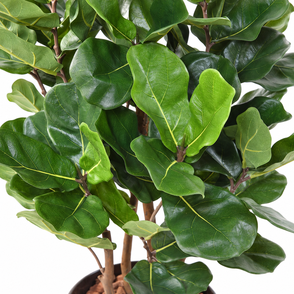 Ficus Artificiel Lyrata Buisson 105 cm | Belle Verdure