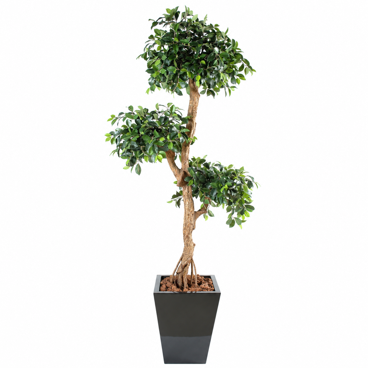 Ficus Artificiel Retusa Crazy 150 cm | Belle Verdure
