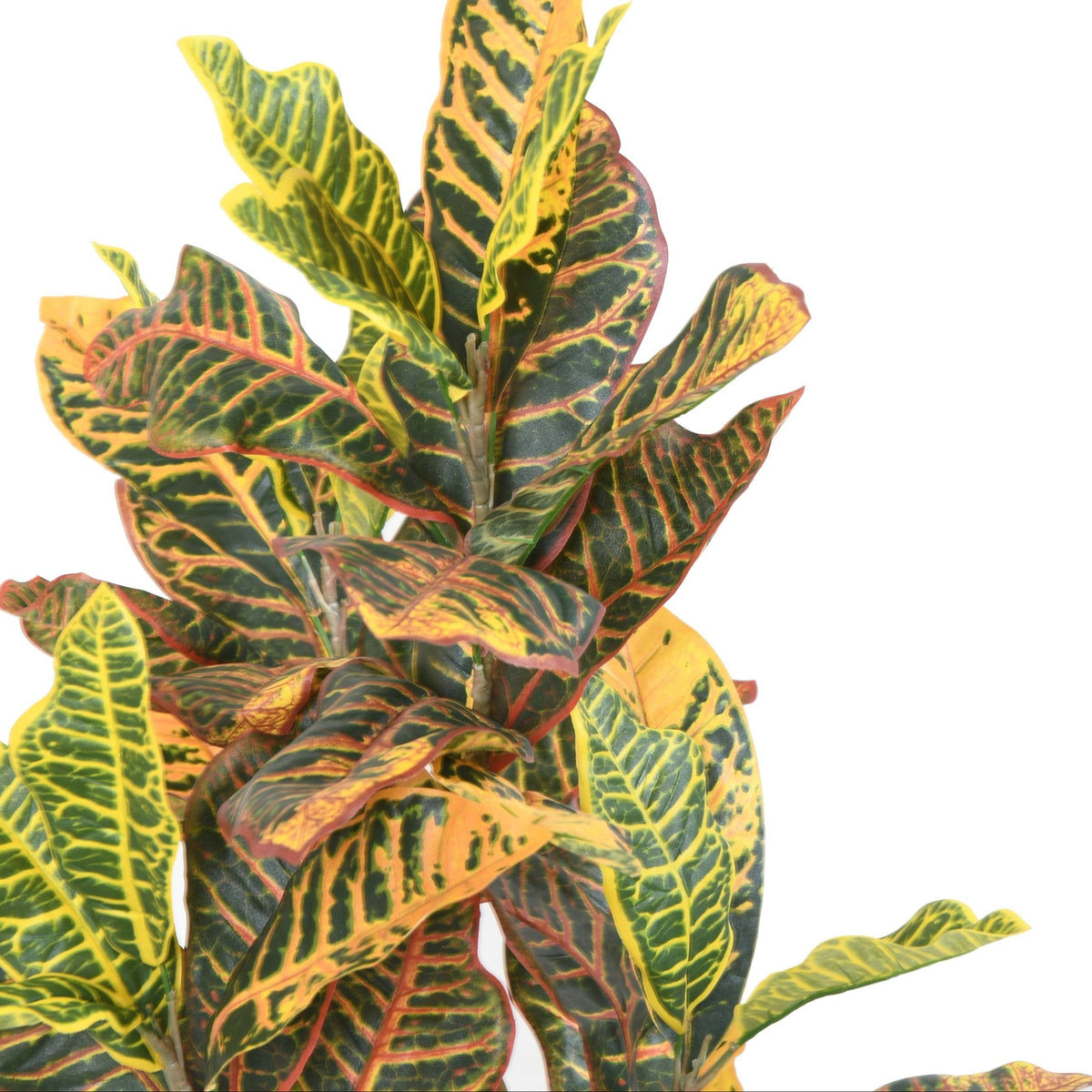 Plante Artificielle Croton 100 cm | Belle Verdure