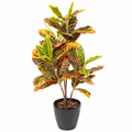Plante Artificielle Croton 100 cm | Belle Verdure