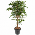 Ficus Artificiel Authentique 210 cm | Belle Verdure