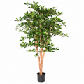 Ficus Artificiel Black Olive 155 cm | Belle Verdure