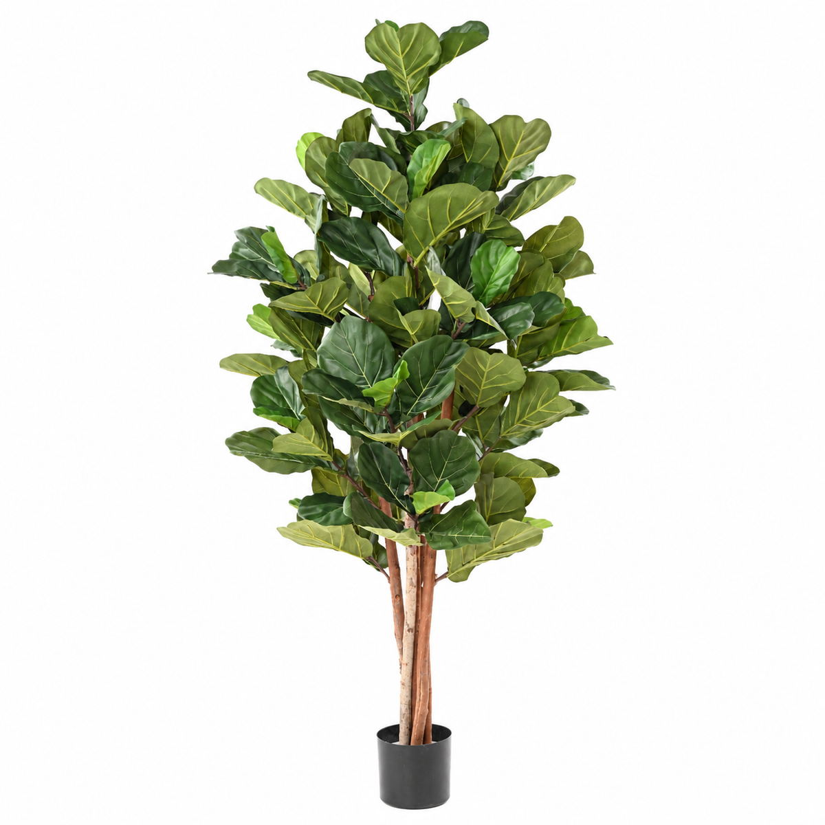 Ficus Artificiel Lyrata 210 cm | Belle Verdure