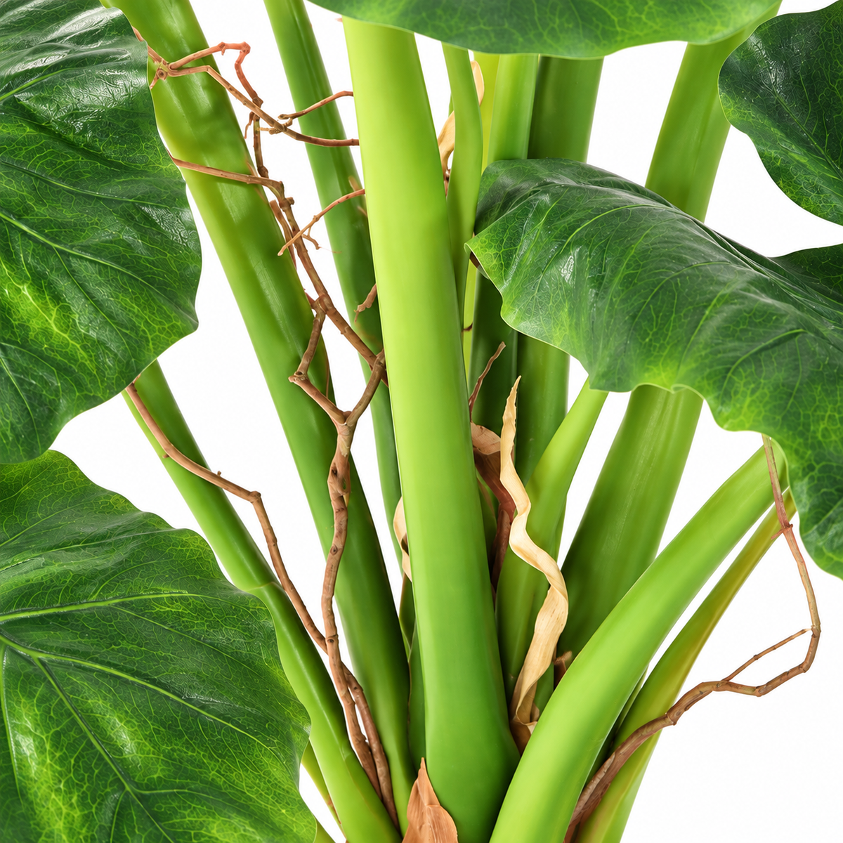 Alocasia Calidora Artificiel 65 cm | Belle Verdure