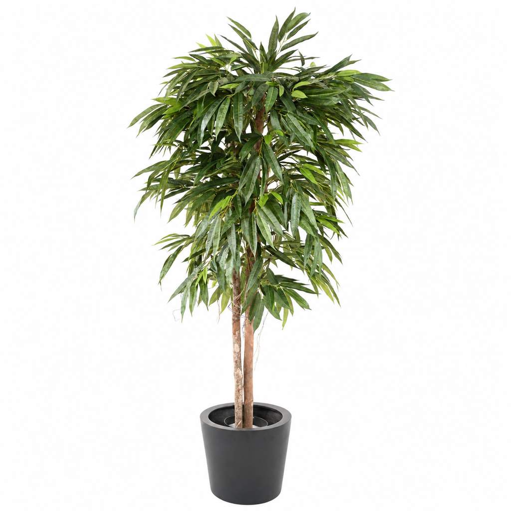 Ficus Artificiel Longifolia 180 cm | Belle Verdure