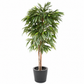 Ficus Artificiel Longifolia 180 cm | Belle Verdure