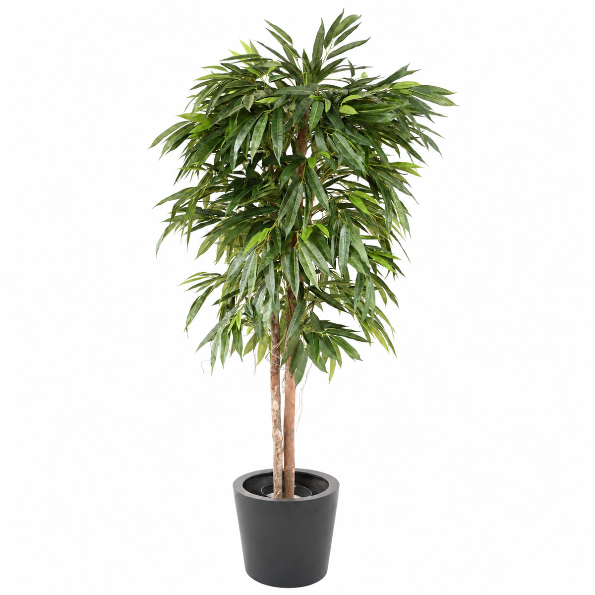 Ficus Artificiel Longifolia 180 cm | Belle Verdure
