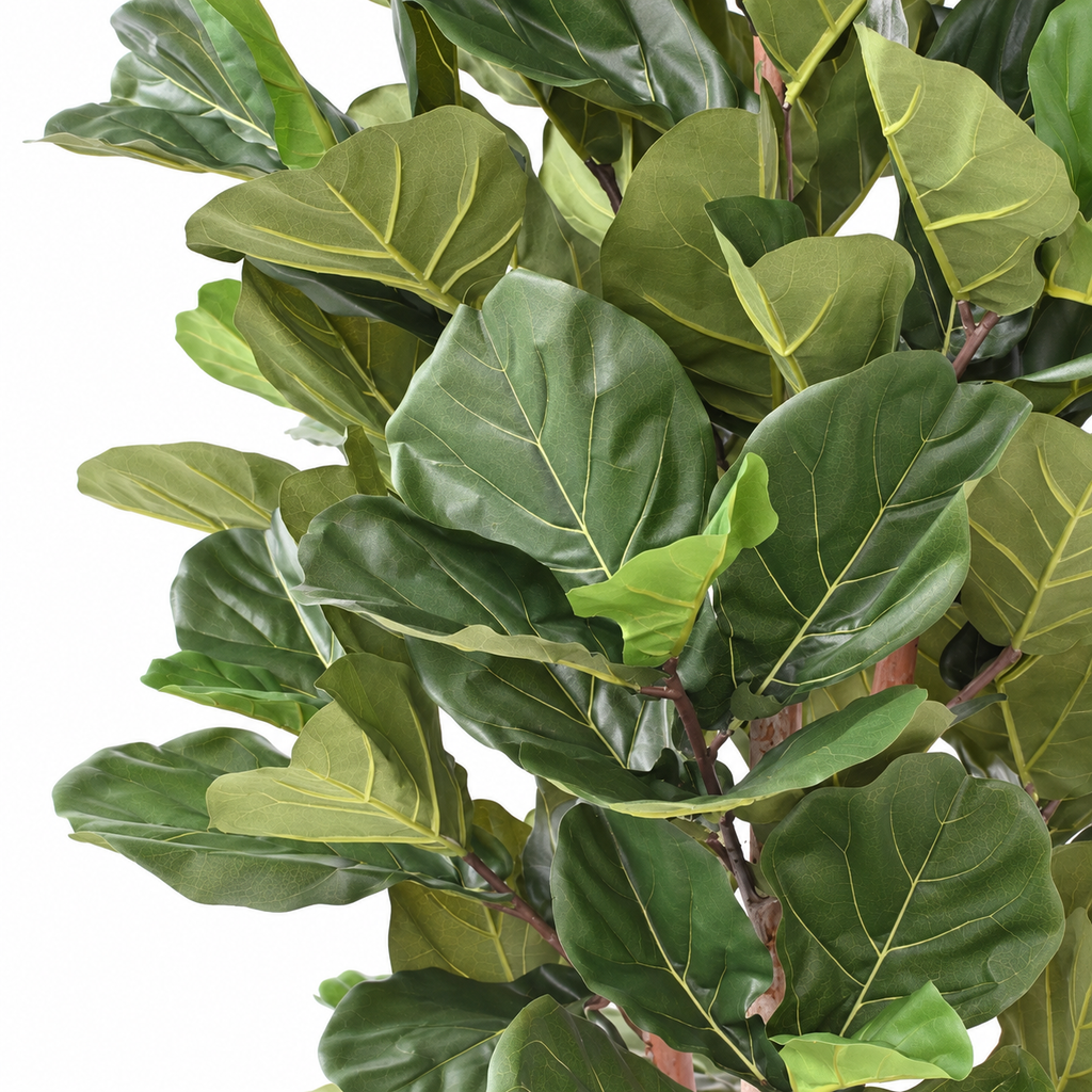 Ficus Artificiel Lyrata 210 cm | Belle Verdure