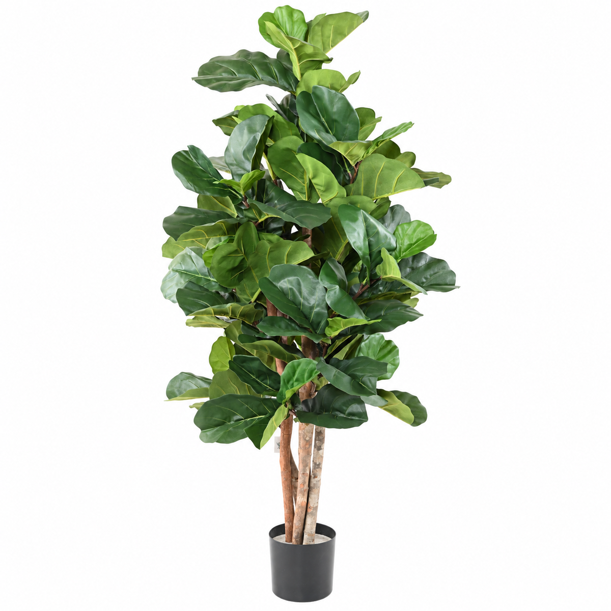 Ficus Artificiel Lyrata 180 cm | Belle Verdure