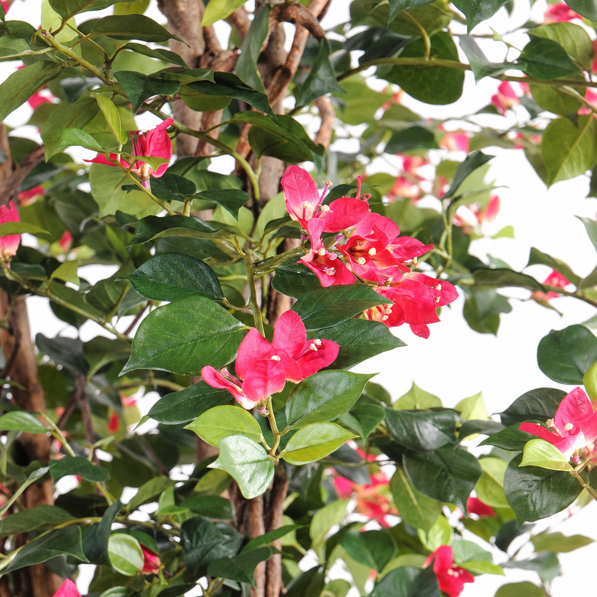 Bougainvillier Artificiel Lianes Prestige 180 cm | Belle Verdure