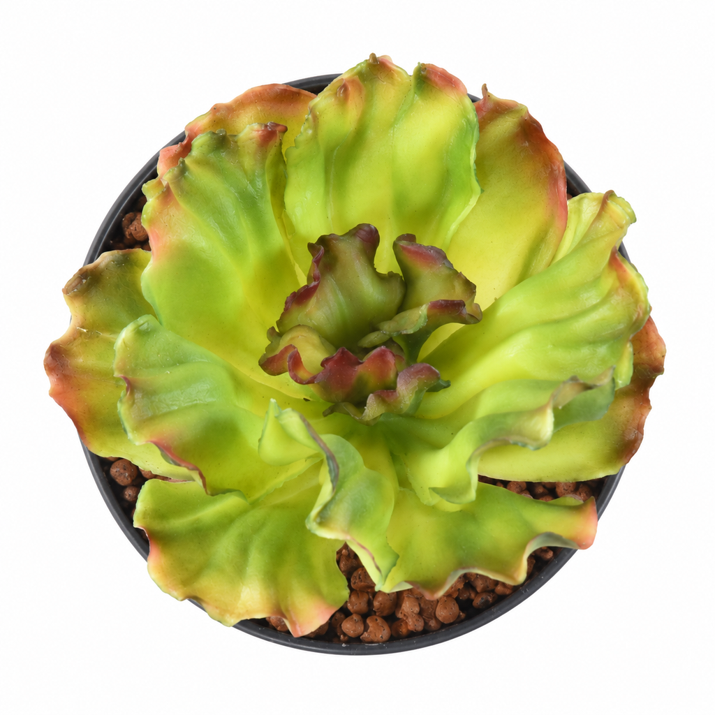 Plante artificielle Aloé Vert Nuancé 16 cm | Belle Verdure