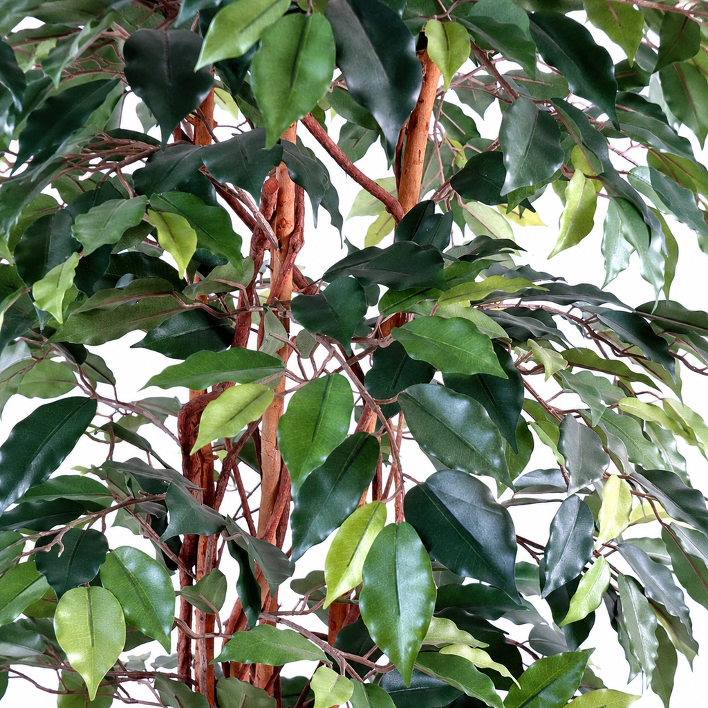 Ficus Artificiel Lianes Vert 150 cm | Belle Verdure