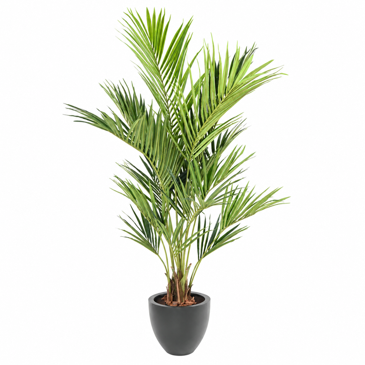 Palmier artificiel Kentia Royal 190 cm | Belle Verdure
