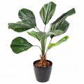 Licuala Grandis Artificiel 120 cm | Belle Verdure