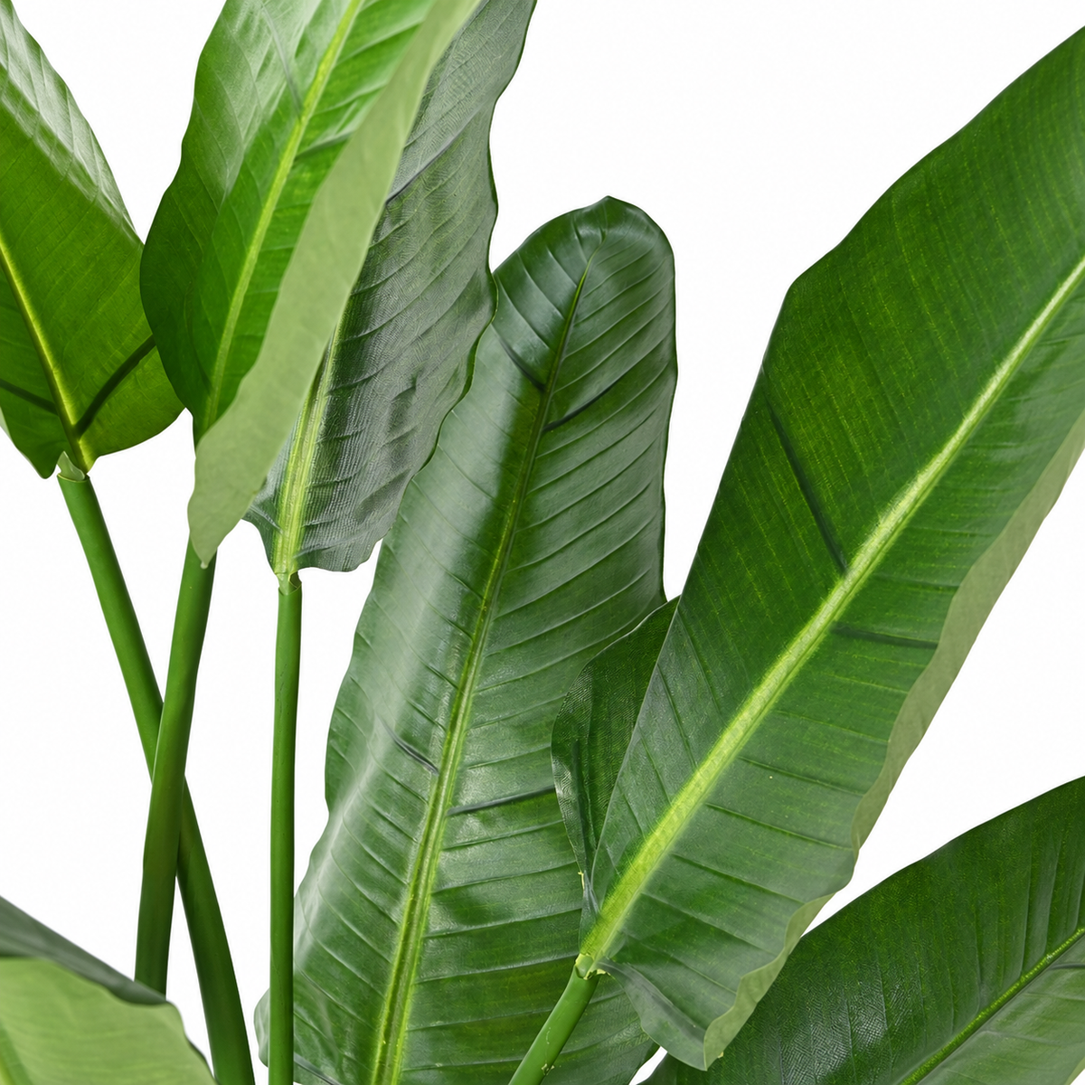 Bananier Artificiel Strelitzia Nicolai 185 cm | Belle Verdure