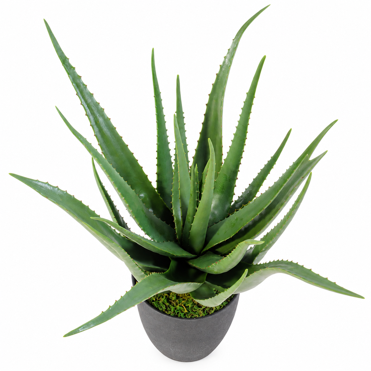 Plante artificielle Aloé Vert 60 cm | Belle Verdure