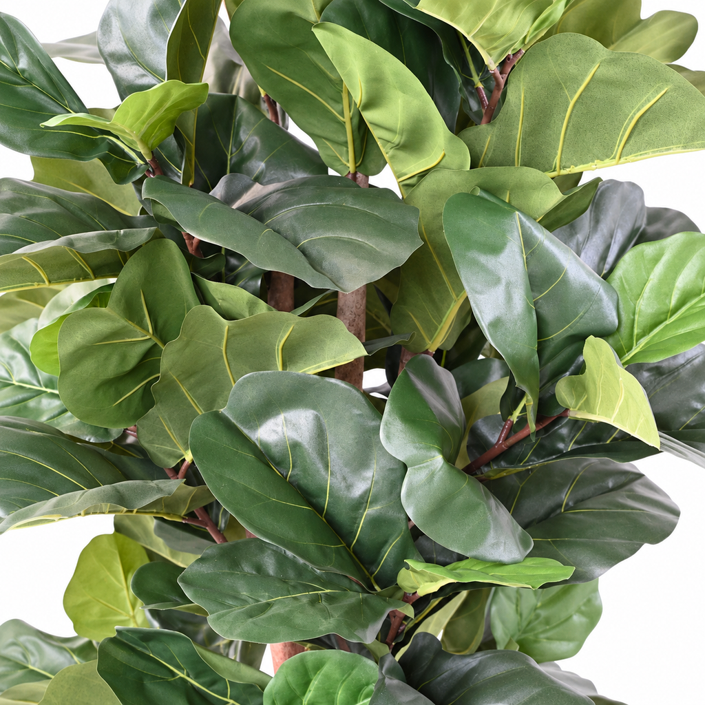 Ficus Artificiel Lyrata 180 cm | Belle Verdure