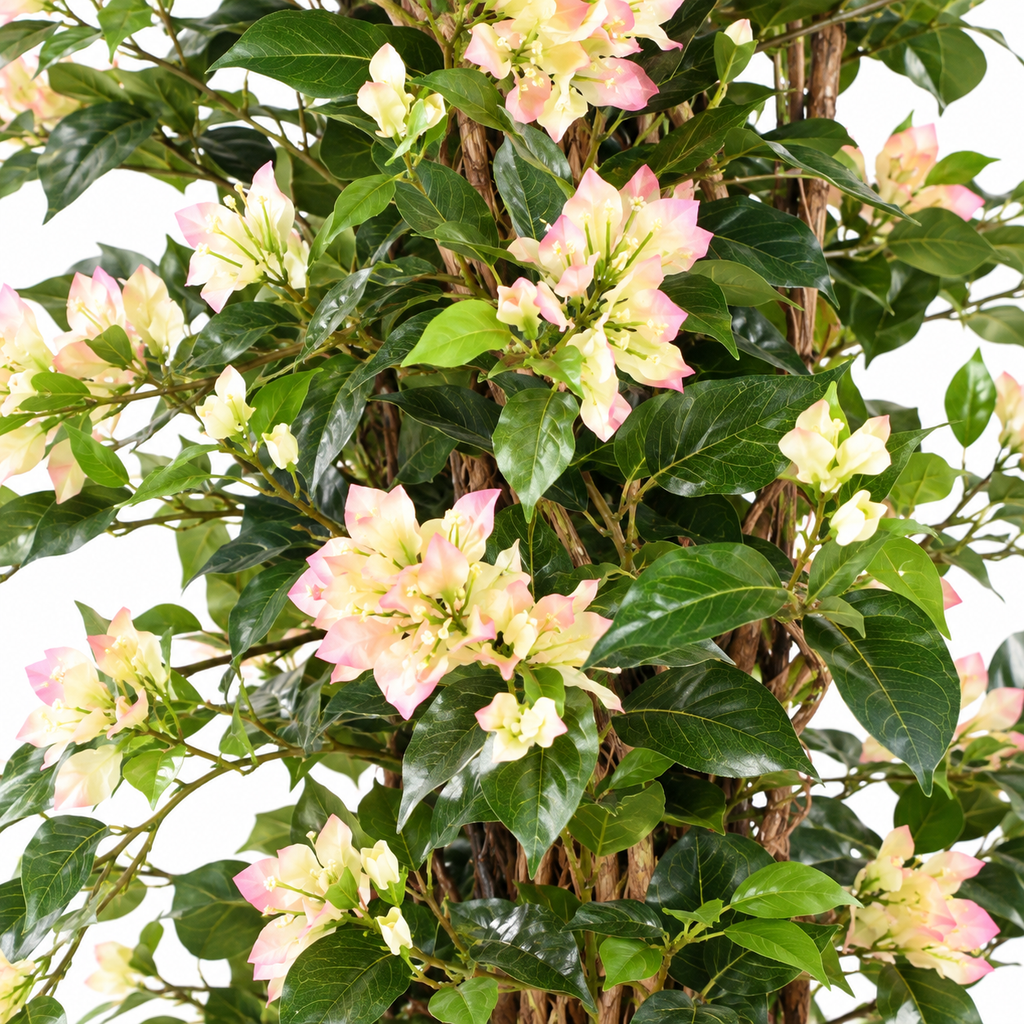 Bougainvillier Artificiel Lianes Blanc et Rose 180 cm | Belle Verdure