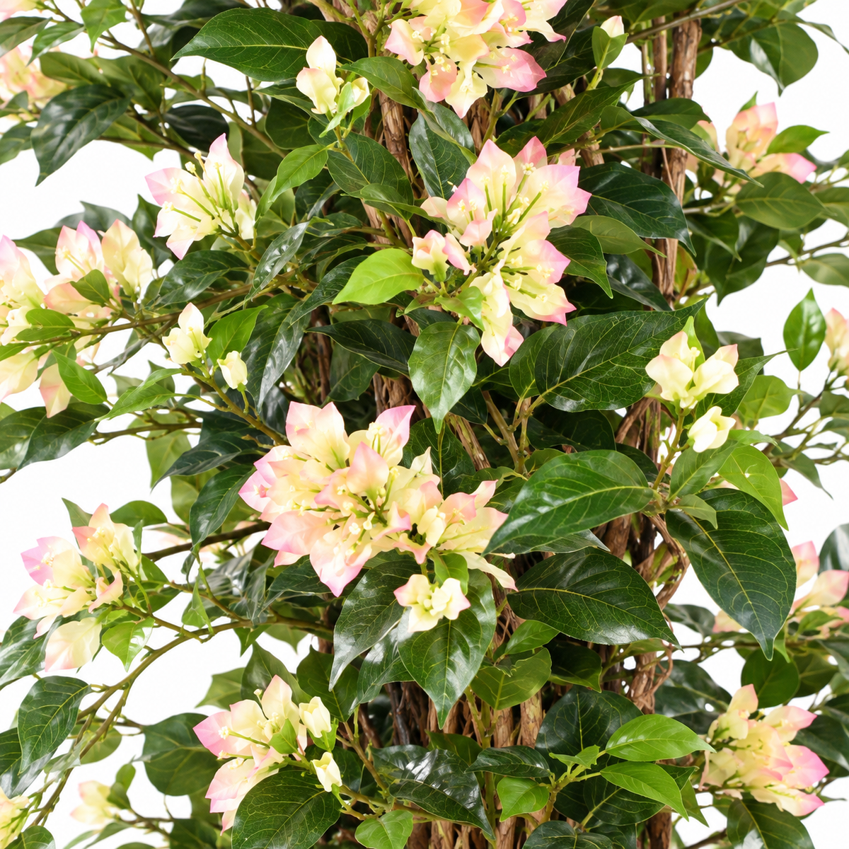 Bougainvillier Artificiel Lianes Blanc et Rose 180 cm | Belle Verdure