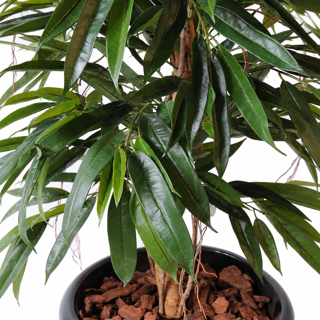Ficus Artificiel Alii Bush Royal 190 cm | Belle Verdure
