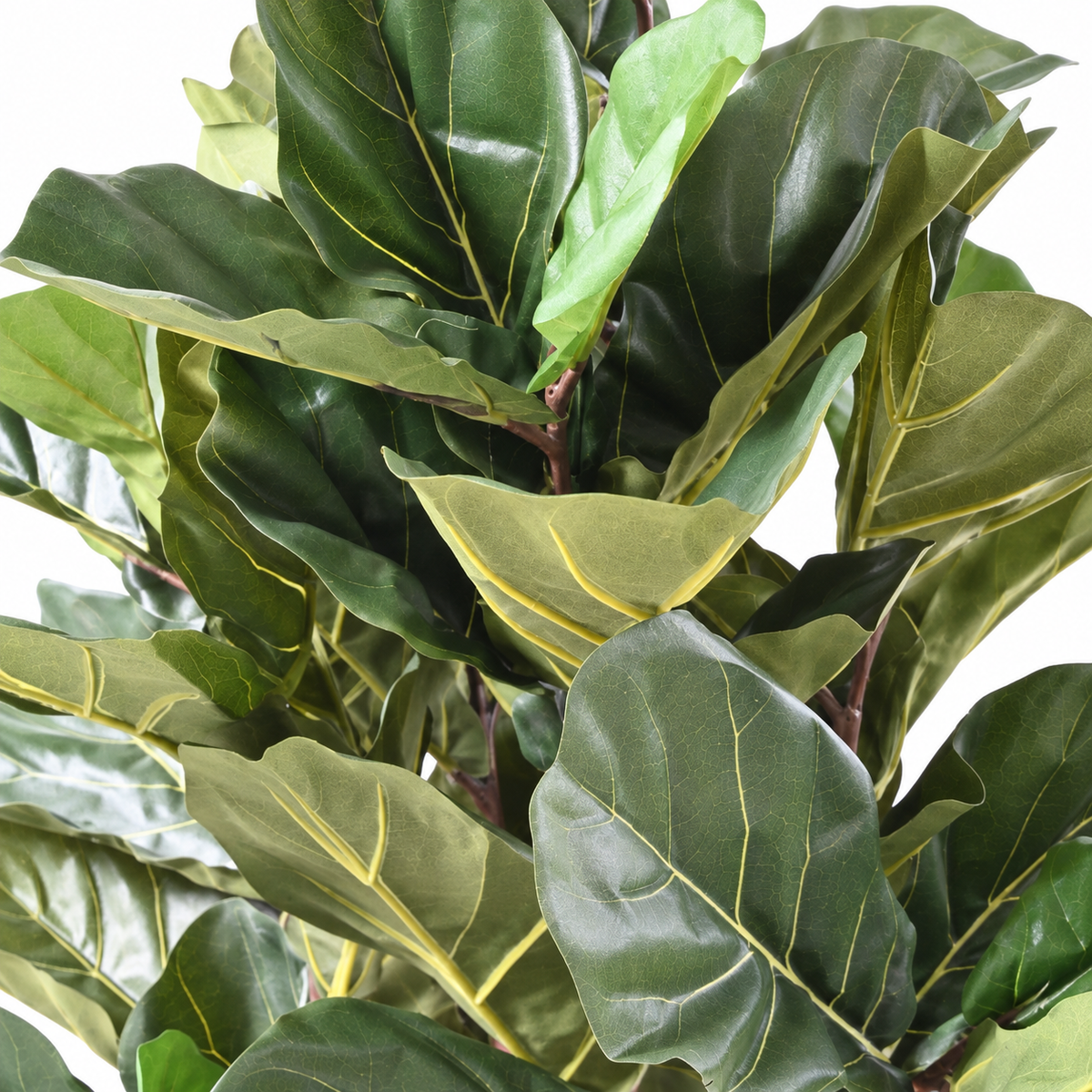 Ficus Artificiel Lyrata 150 cm | Belle Verdure