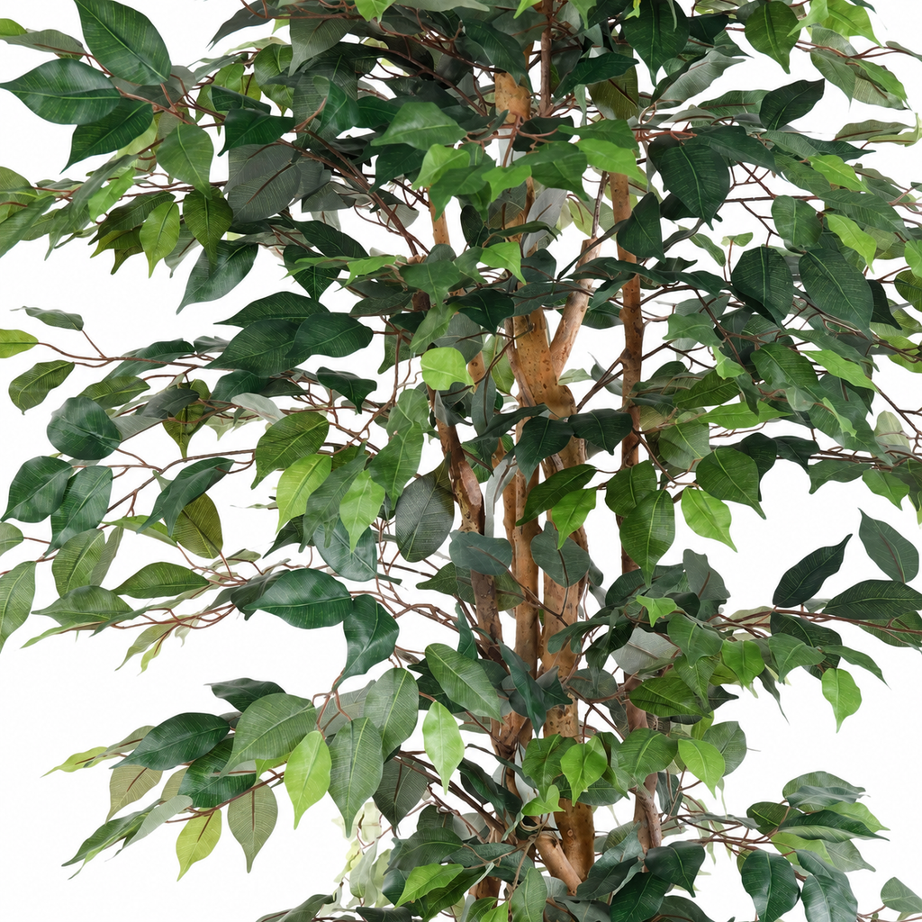 Ficus Artificiel Multitroncs 190 cm | Belle Verdure