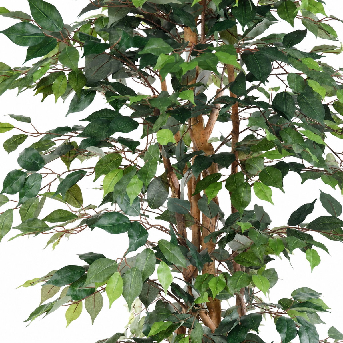 Ficus Artificiel Multitroncs 190 cm | Belle Verdure