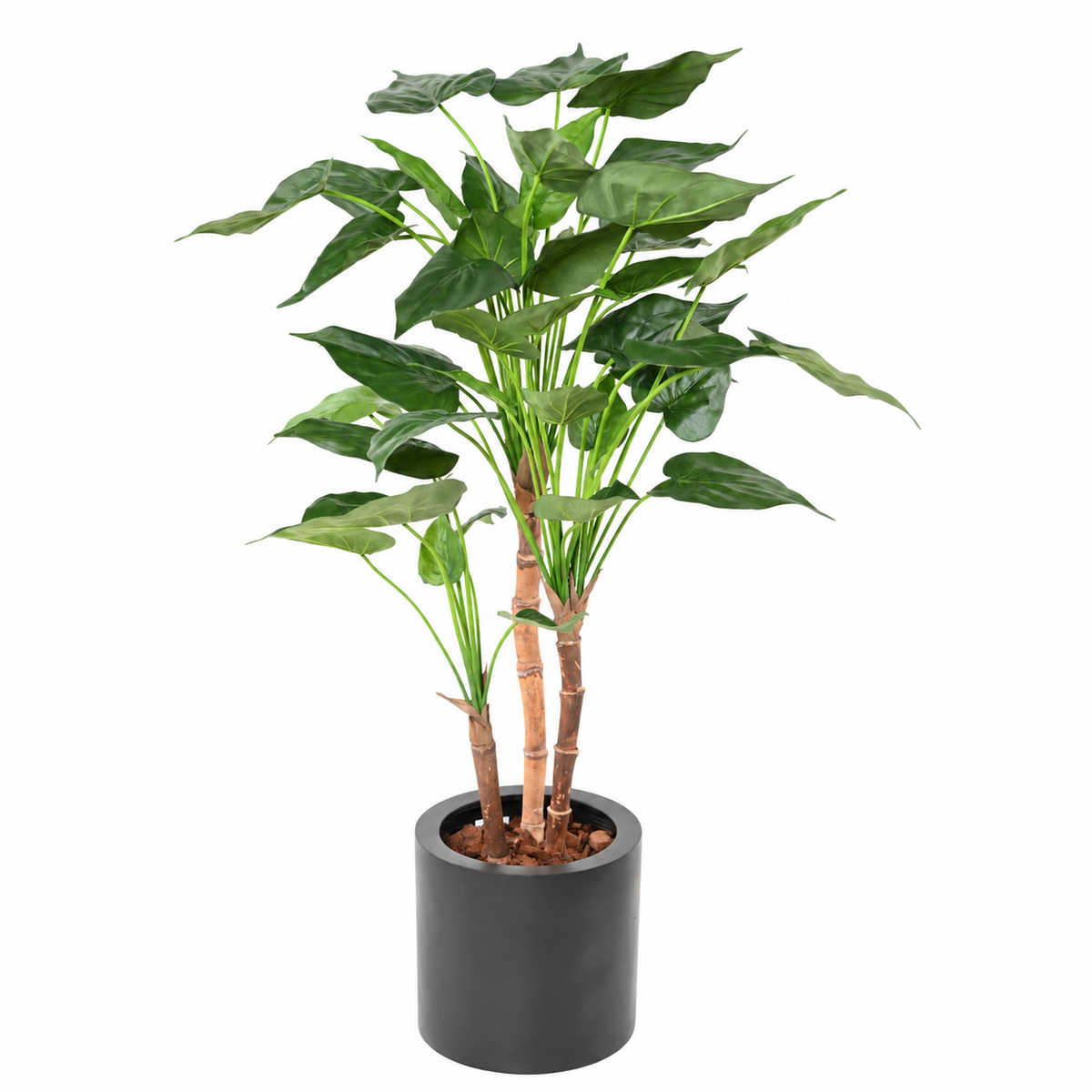 Alocasia Cucullata Artificiel 110 cm | Belle Verdure